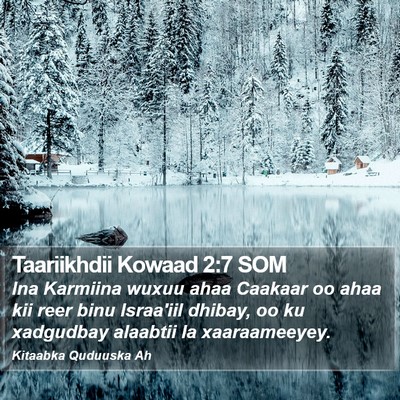 Taariikhdii Kowaad 2:7 SOM Bible Verse Image