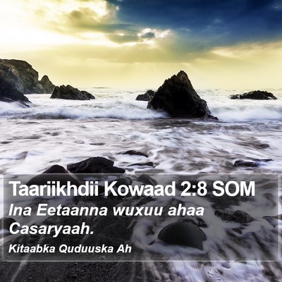 Taariikhdii Kowaad 2:8 SOM Bible Verse Image