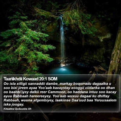 Taariikhdii Kowaad 20:1 SOM Bible Verse Image