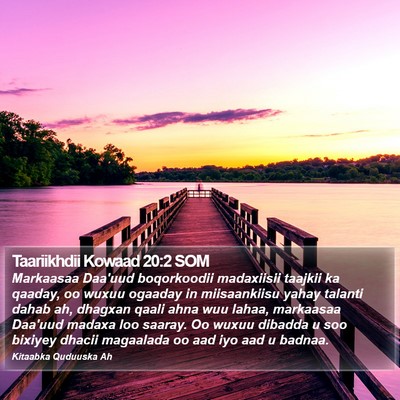 Taariikhdii Kowaad 20:2 SOM Bible Verse Image
