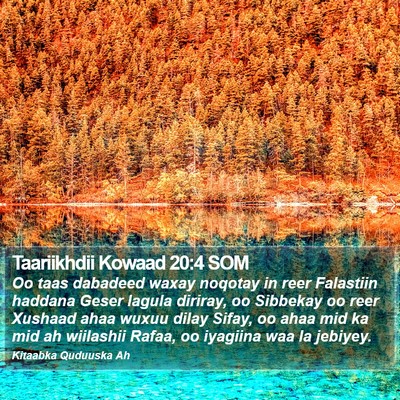 Taariikhdii Kowaad 20:4 SOM Bible Verse Image