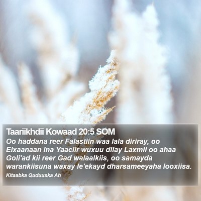 Taariikhdii Kowaad 20:5 SOM Bible Verse Image