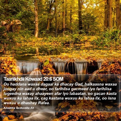 Taariikhdii Kowaad 20:6 SOM Bible Verse Image