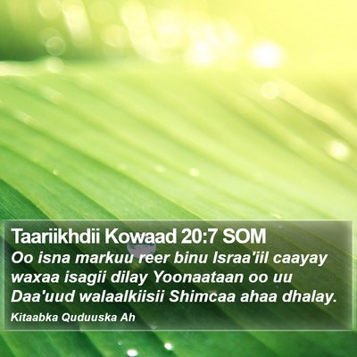 Taariikhdii Kowaad 20:7 SOM Bible Verse Image