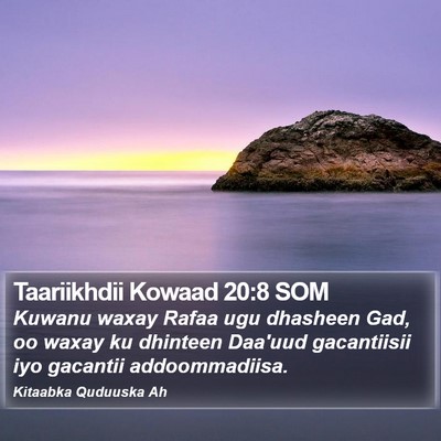 Taariikhdii Kowaad 20:8 SOM Bible Verse Image