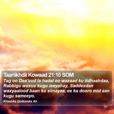 Taariikhdii Kowaad 21:10 SOM Bible Verse Image