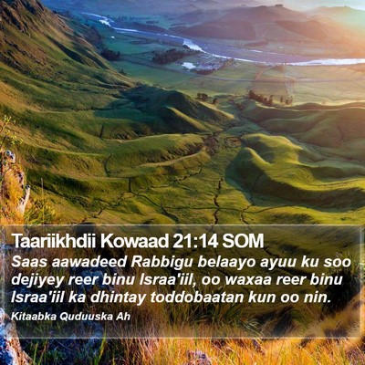 Taariikhdii Kowaad 21:14 SOM Bible Verse Image