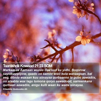 Taariikhdii Kowaad 21:23 SOM Bible Verse Image