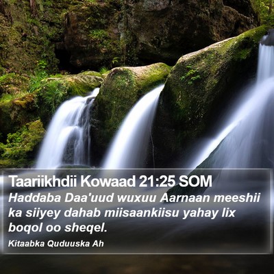 Taariikhdii Kowaad 21:25 SOM Bible Verse Image