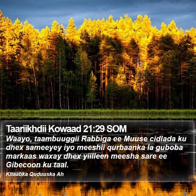 Taariikhdii Kowaad 21:29 SOM Bible Verse Image