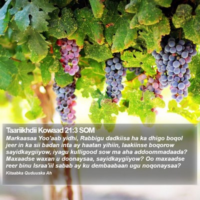 Taariikhdii Kowaad 21:3 SOM Bible Verse Image