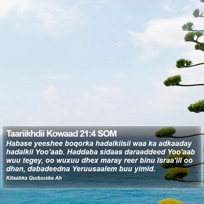 Taariikhdii Kowaad 21:4 SOM Bible Verse Image