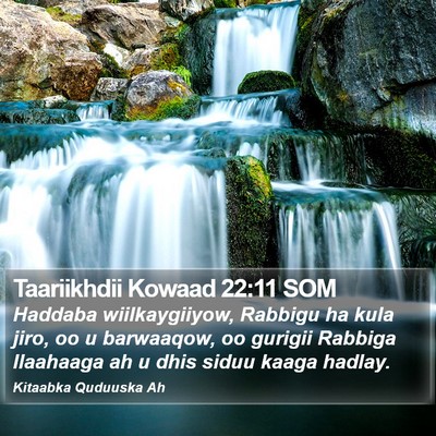 Taariikhdii Kowaad 22:11 SOM Bible Verse Image