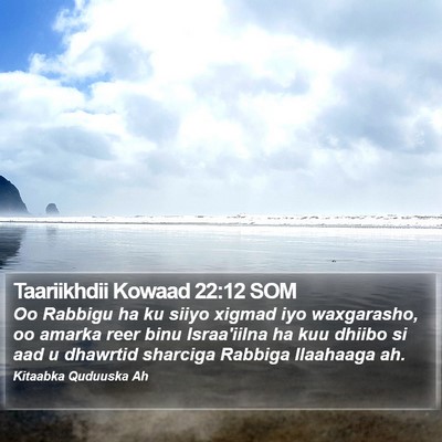 Taariikhdii Kowaad 22:12 SOM Bible Verse Image