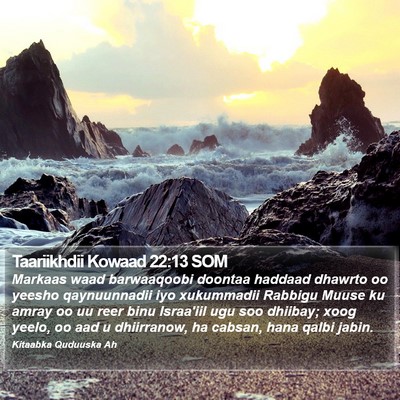 Taariikhdii Kowaad 22:13 SOM Bible Verse Image