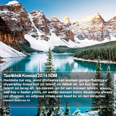 Taariikhdii Kowaad 22:14 SOM Bible Verse Image