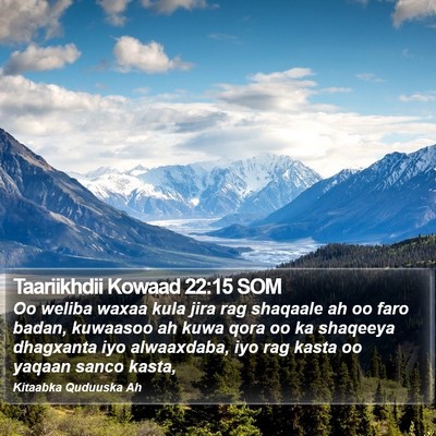 Taariikhdii Kowaad 22:15 SOM Bible Verse Image