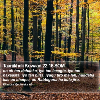 Taariikhdii Kowaad 22:16 SOM Bible Verse Image