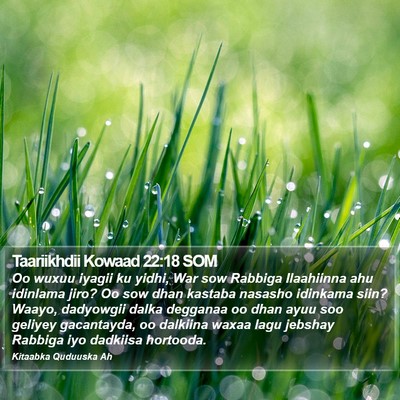 Taariikhdii Kowaad 22:18 SOM Bible Verse Image