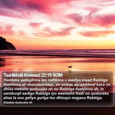 Taariikhdii Kowaad 22:19 SOM Bible Verse Image