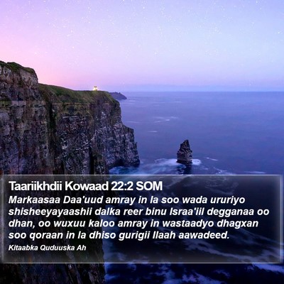 Taariikhdii Kowaad 22:2 SOM Bible Verse Image
