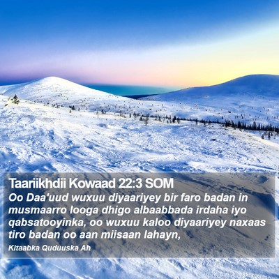 Taariikhdii Kowaad 22:3 SOM Bible Verse Image