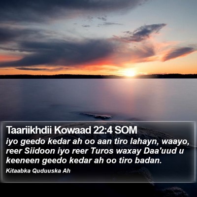 Taariikhdii Kowaad 22:4 SOM Bible Verse Image