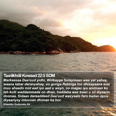 Taariikhdii Kowaad 22:5 SOM Bible Verse Image