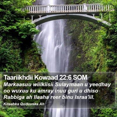 Taariikhdii Kowaad 22:6 SOM Bible Verse Image