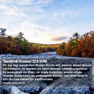 Taariikhdii Kowaad 22:9 SOM Bible Verse Image