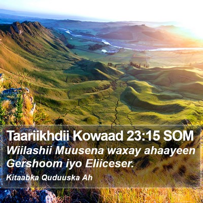 Taariikhdii Kowaad 23:15 SOM Bible Verse Image
