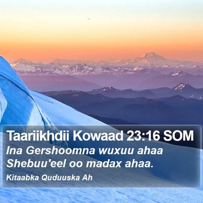 Taariikhdii Kowaad 23:16 SOM Bible Verse Image