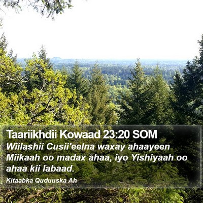 Taariikhdii Kowaad 23:20 SOM Bible Verse Image
