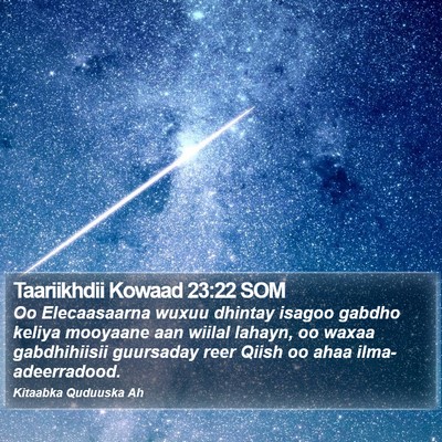 Taariikhdii Kowaad 23:22 SOM Bible Verse Image