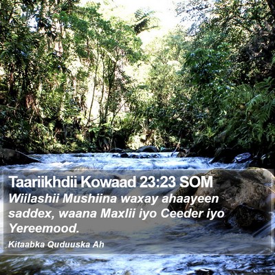 Taariikhdii Kowaad 23:23 SOM Bible Verse Image