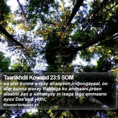Taariikhdii Kowaad 23:5 SOM Bible Verse Image