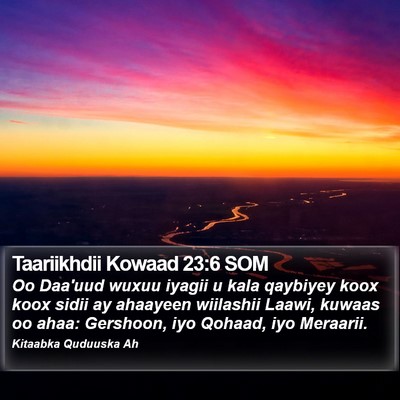 Taariikhdii Kowaad 23:6 SOM Bible Verse Image