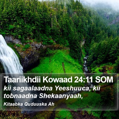 Taariikhdii Kowaad 24:11 SOM Bible Verse Image