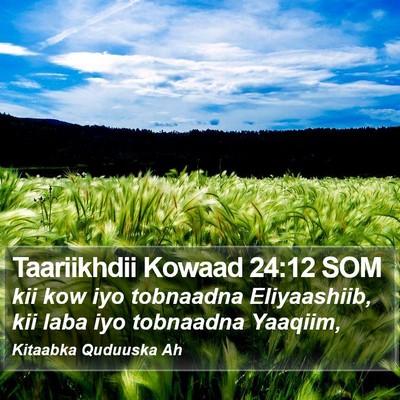 Taariikhdii Kowaad 24:12 SOM Bible Verse Image