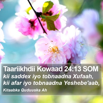Taariikhdii Kowaad 24:13 SOM Bible Verse Image