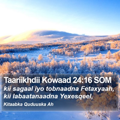 Taariikhdii Kowaad 24:16 SOM Bible Verse Image