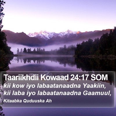 Taariikhdii Kowaad 24:17 SOM Bible Verse Image