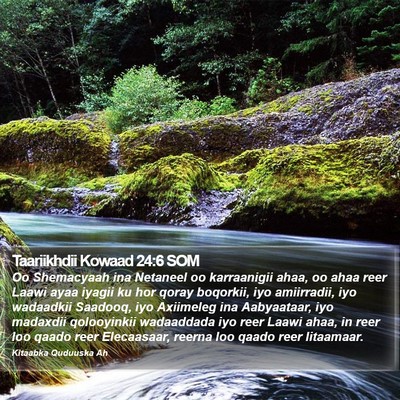 Taariikhdii Kowaad 24:6 SOM Bible Verse Image
