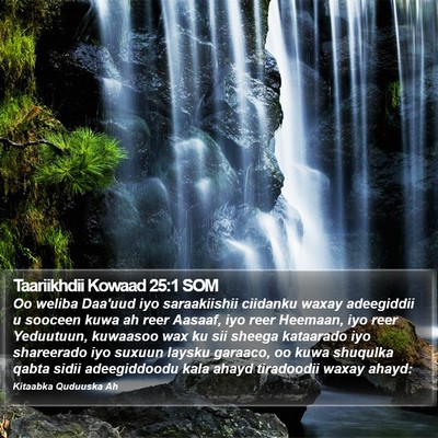 Taariikhdii Kowaad 25:1 SOM Bible Verse Image