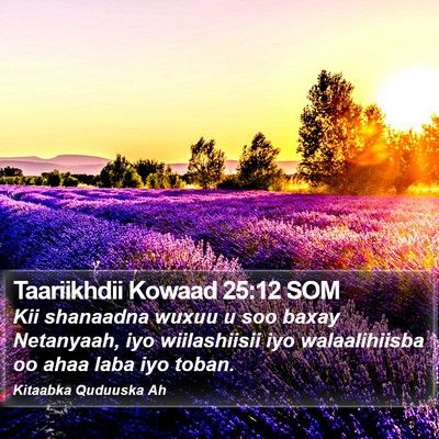 Taariikhdii Kowaad 25:12 SOM Bible Verse Image