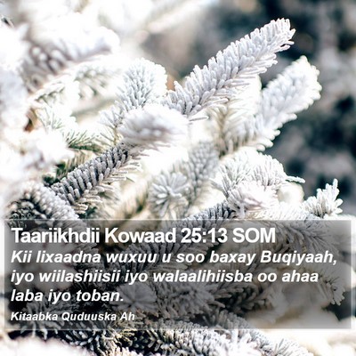 Taariikhdii Kowaad 25:13 SOM Bible Verse Image