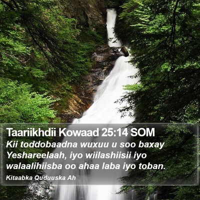 Taariikhdii Kowaad 25:14 SOM Bible Verse Image