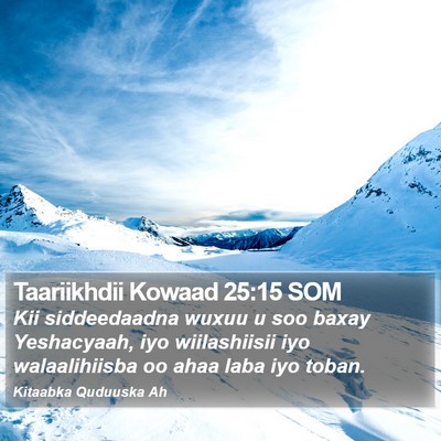 Taariikhdii Kowaad 25:15 SOM Bible Verse Image
