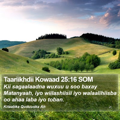 Taariikhdii Kowaad 25:16 SOM Bible Verse Image