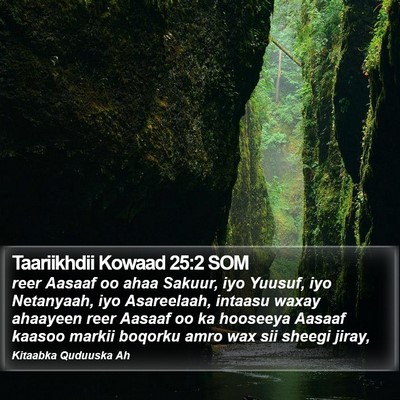 Taariikhdii Kowaad 25:2 SOM Bible Verse Image